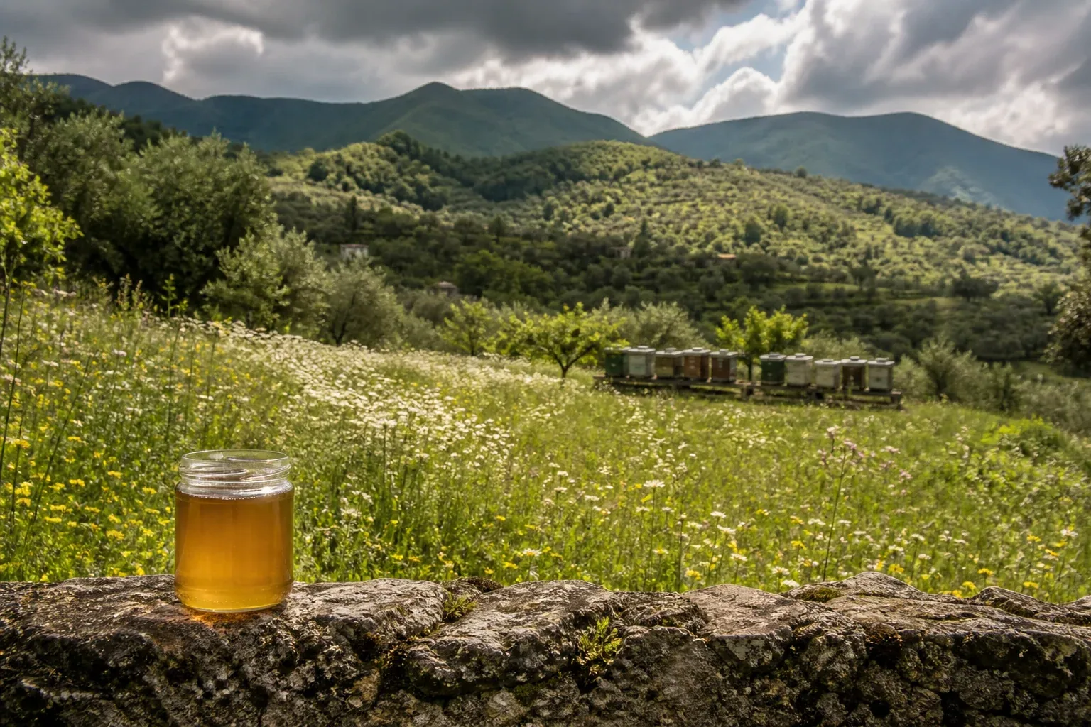 Editorial landscape illustration accompanying a guide to honey and its Tuscan origins.